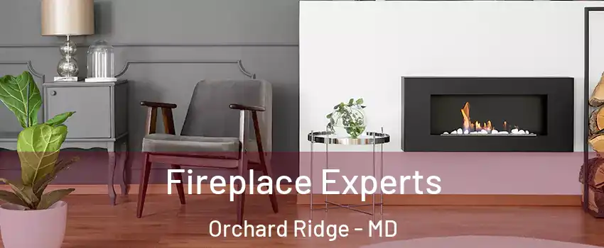 Fireplace Experts Orchard Ridge - MD
