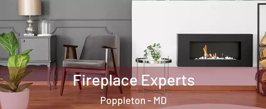 Fireplace Experts Poppleton - MD