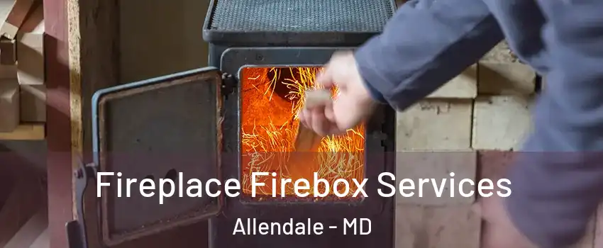 Fireplace Firebox Services Allendale - MD