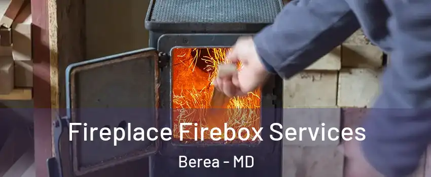 Fireplace Firebox Services Berea - MD