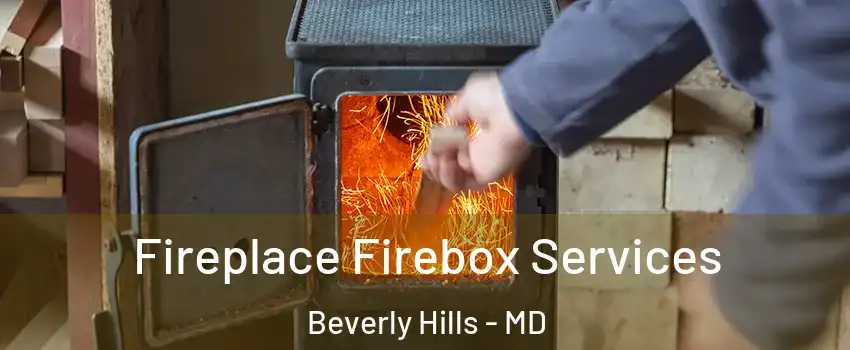Fireplace Firebox Services Beverly Hills - MD