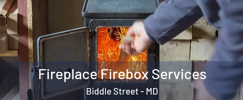 Fireplace Firebox Services Biddle Street - MD