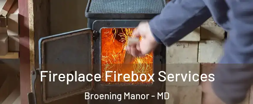 Fireplace Firebox Services Broening Manor - MD