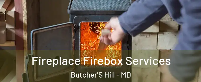 Fireplace Firebox Services Butcher'S Hill - MD