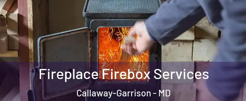 Fireplace Firebox Services Callaway-Garrison - MD