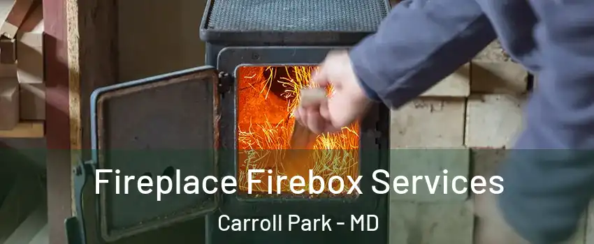 Fireplace Firebox Services Carroll Park - MD