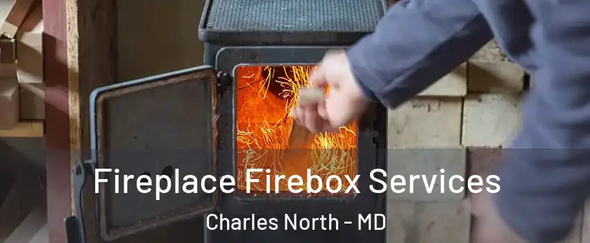 Fireplace Firebox Services Charles North - MD