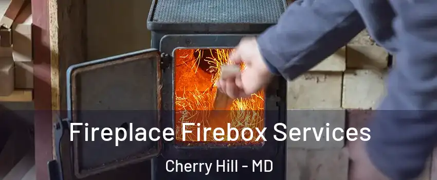 Fireplace Firebox Services Cherry Hill - MD