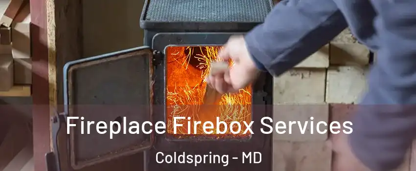 Fireplace Firebox Services Coldspring - MD