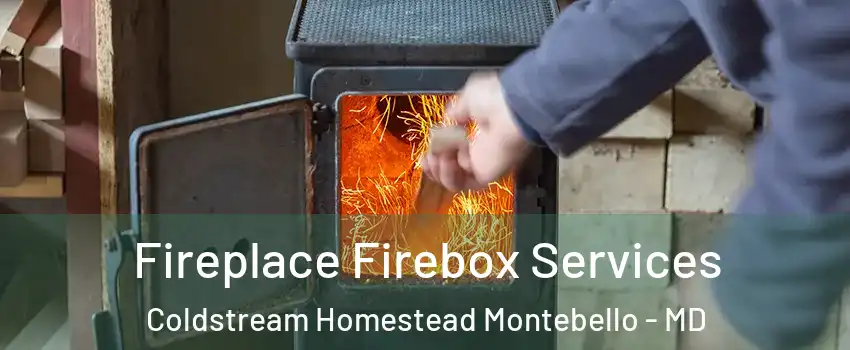 Fireplace Firebox Services Coldstream Homestead Montebello - MD