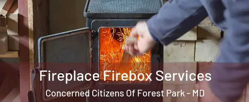Fireplace Firebox Services Concerned Citizens Of Forest Park - MD