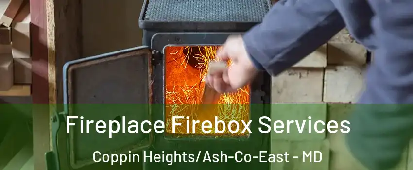 Fireplace Firebox Services Coppin Heights/Ash-Co-East - MD