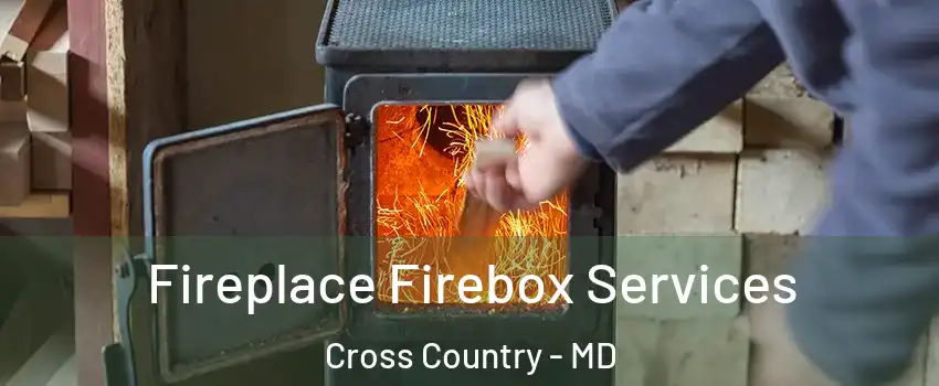 Fireplace Firebox Services Cross Country - MD