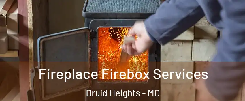 Fireplace Firebox Services Druid Heights - MD