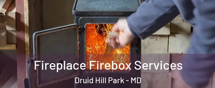 Fireplace Firebox Services Druid Hill Park - MD