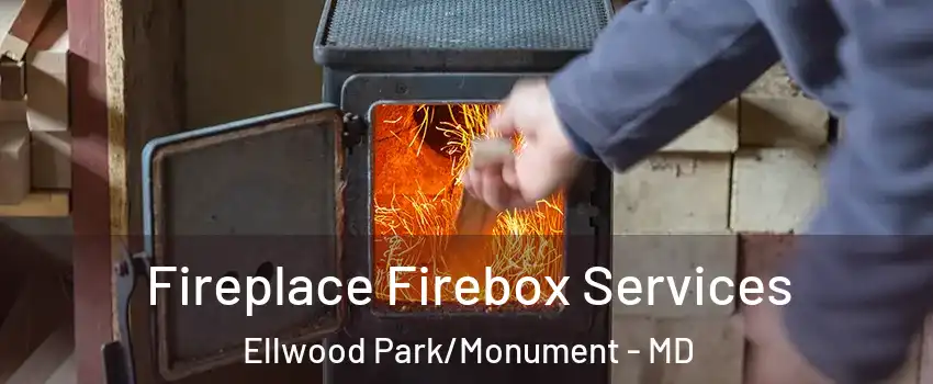 Fireplace Firebox Services Ellwood Park/Monument - MD