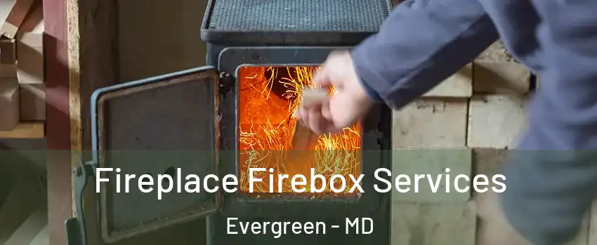 Fireplace Firebox Services Evergreen - MD