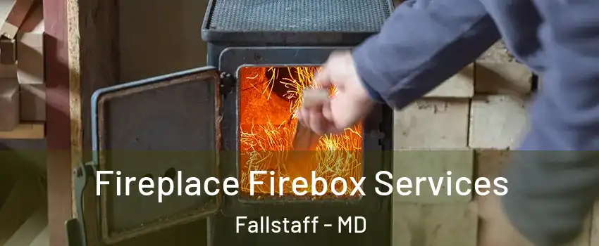 Fireplace Firebox Services Fallstaff - MD