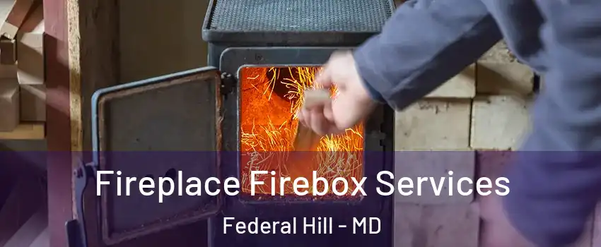 Fireplace Firebox Services Federal Hill - MD