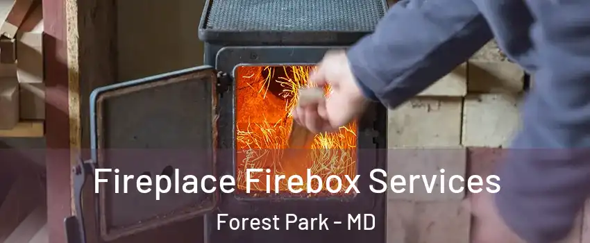 Fireplace Firebox Services Forest Park - MD