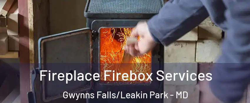 Fireplace Firebox Services Gwynns Falls/Leakin Park - MD