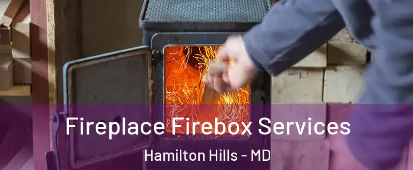 Fireplace Firebox Services Hamilton Hills - MD
