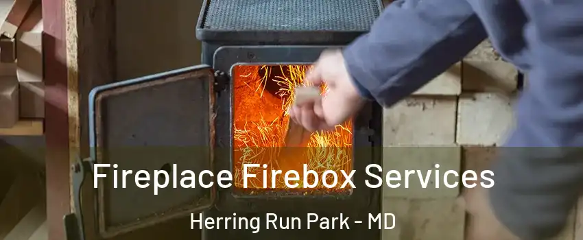 Fireplace Firebox Services Herring Run Park - MD