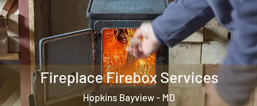 Fireplace Firebox Services Hopkins Bayview - MD