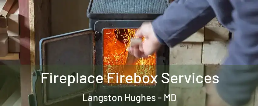 Fireplace Firebox Services Langston Hughes - MD