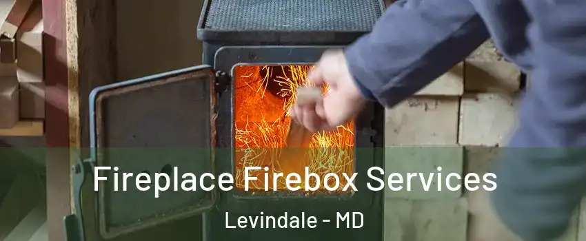 Fireplace Firebox Services Levindale - MD