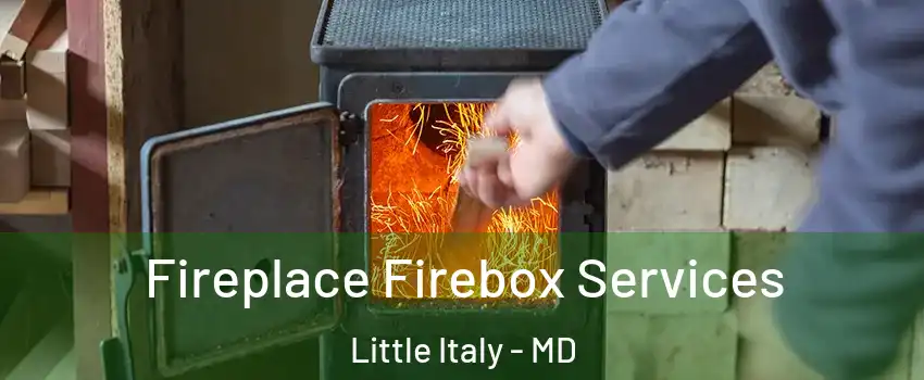 Fireplace Firebox Services Little Italy - MD