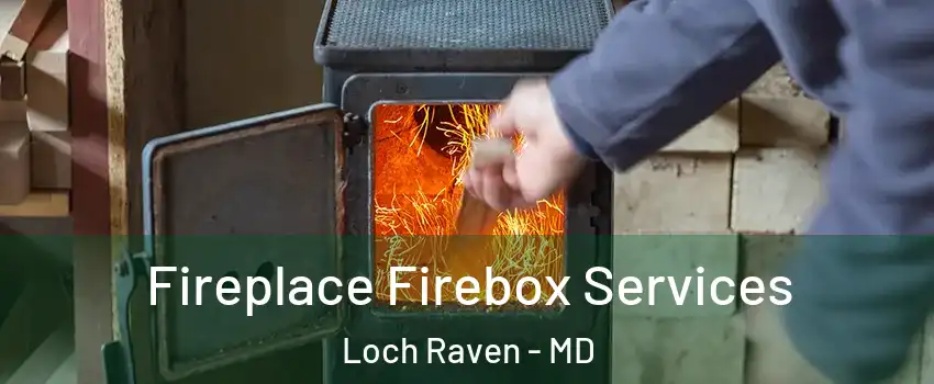 Fireplace Firebox Services Loch Raven - MD