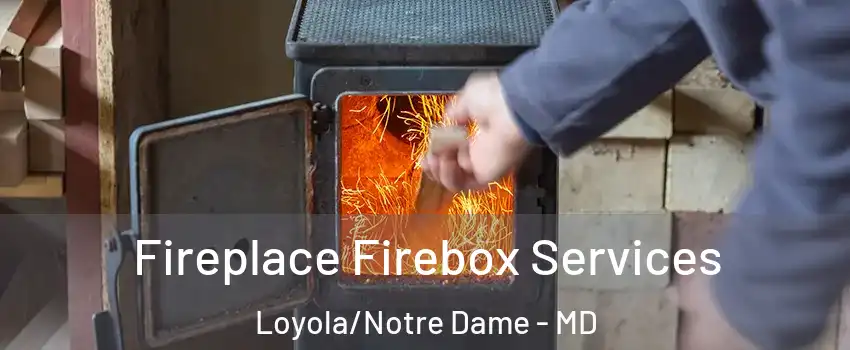 Fireplace Firebox Services Loyola/Notre Dame - MD