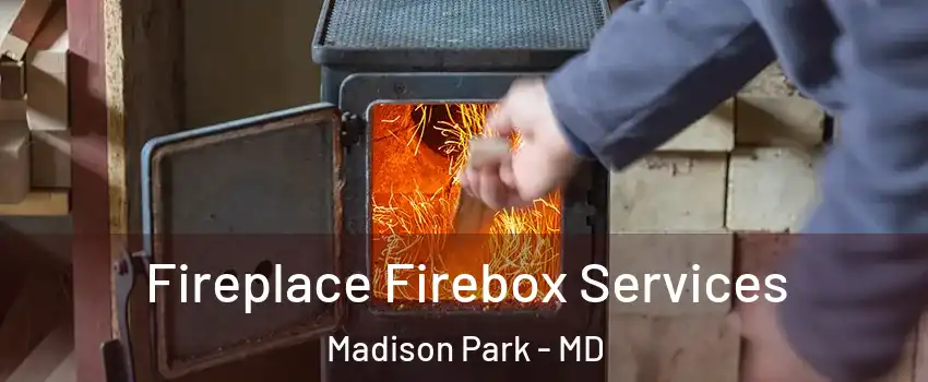 Fireplace Firebox Services Madison Park - MD