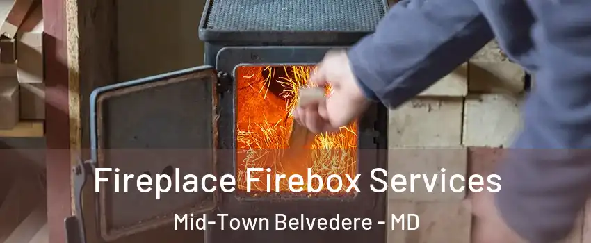 Fireplace Firebox Services Mid-Town Belvedere - MD