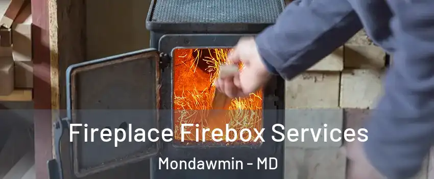Fireplace Firebox Services Mondawmin - MD