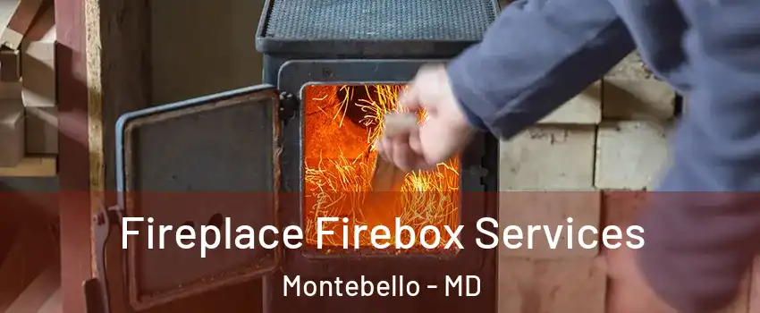Fireplace Firebox Services Montebello - MD