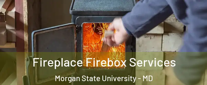 Fireplace Firebox Services Morgan State University - MD
