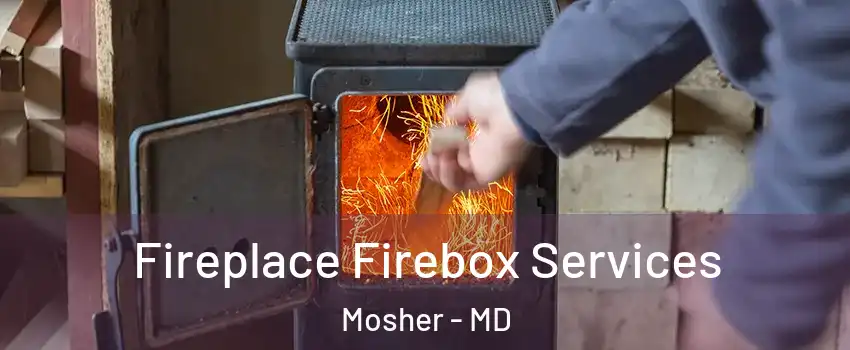 Fireplace Firebox Services Mosher - MD