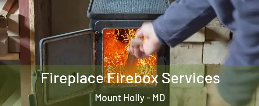Fireplace Firebox Services Mount Holly - MD