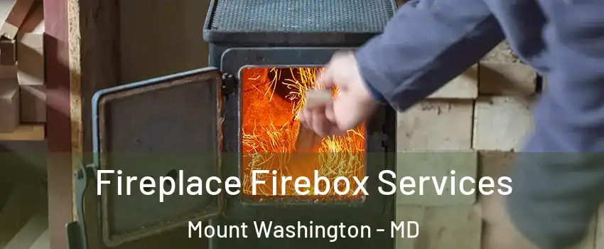 Fireplace Firebox Services Mount Washington - MD