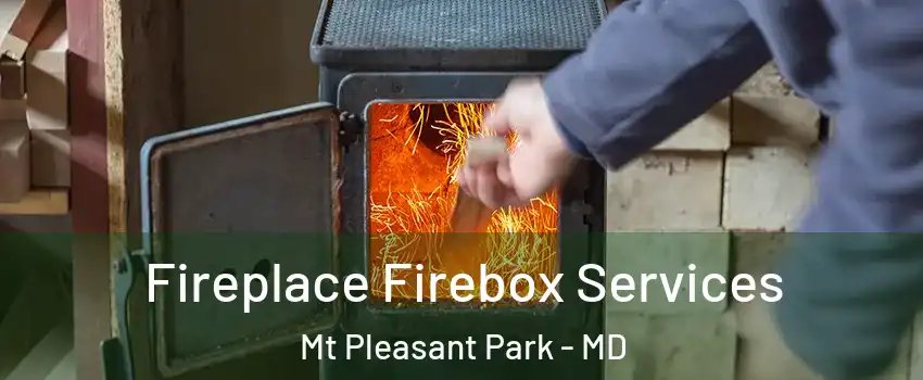 Fireplace Firebox Services Mt Pleasant Park - MD
