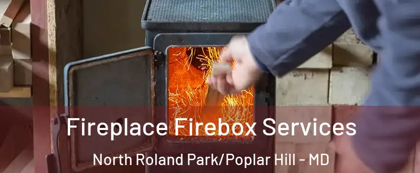 Fireplace Firebox Services North Roland Park/Poplar Hill - MD