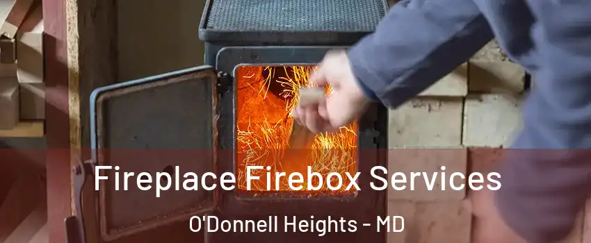 Fireplace Firebox Services O'Donnell Heights - MD