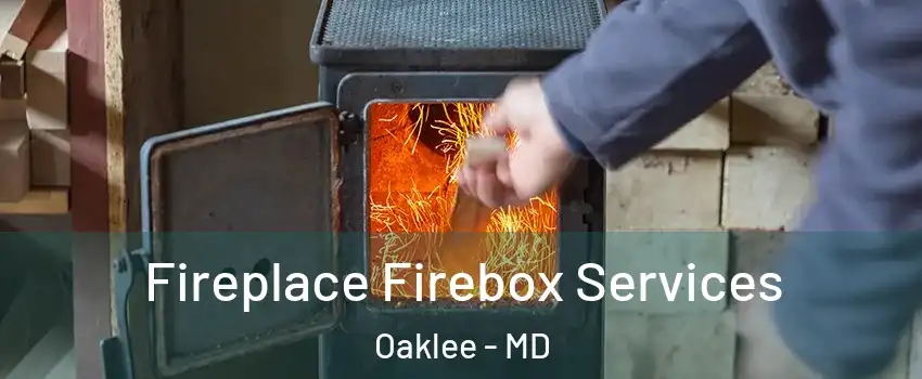 Fireplace Firebox Services Oaklee - MD