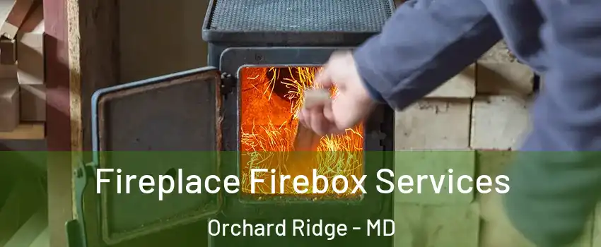 Fireplace Firebox Services Orchard Ridge - MD