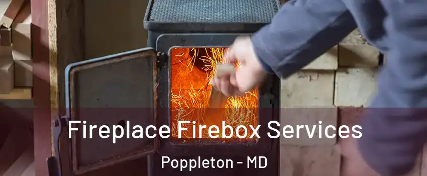Fireplace Firebox Services Poppleton - MD