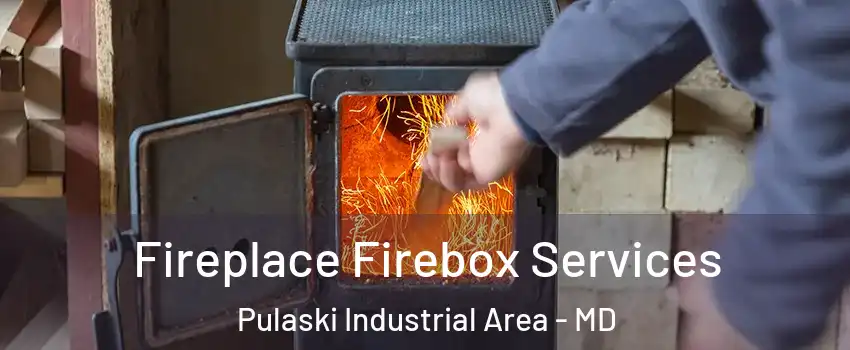 Fireplace Firebox Services Pulaski Industrial Area - MD