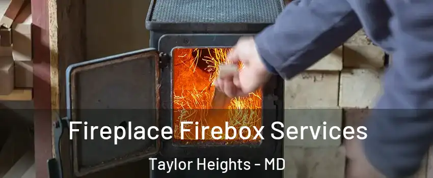Fireplace Firebox Services Taylor Heights - MD