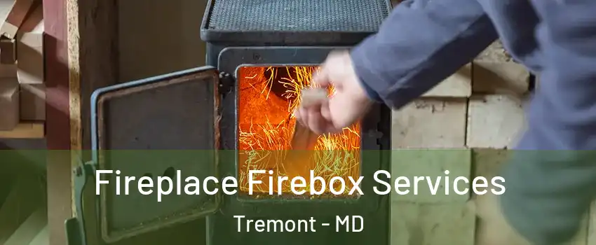 Fireplace Firebox Services Tremont - MD